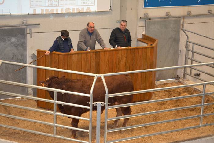 Beste aldietako jendetzarik ez da izan Aiako ganadu enkantean