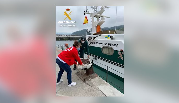 Guardia Zibilak pertsona bat salatu du Orioko itsasaldean itsaskiak harrapatzeagatik