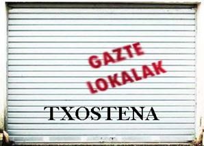 Gazteen aisialdirako lokalen txostena (II)