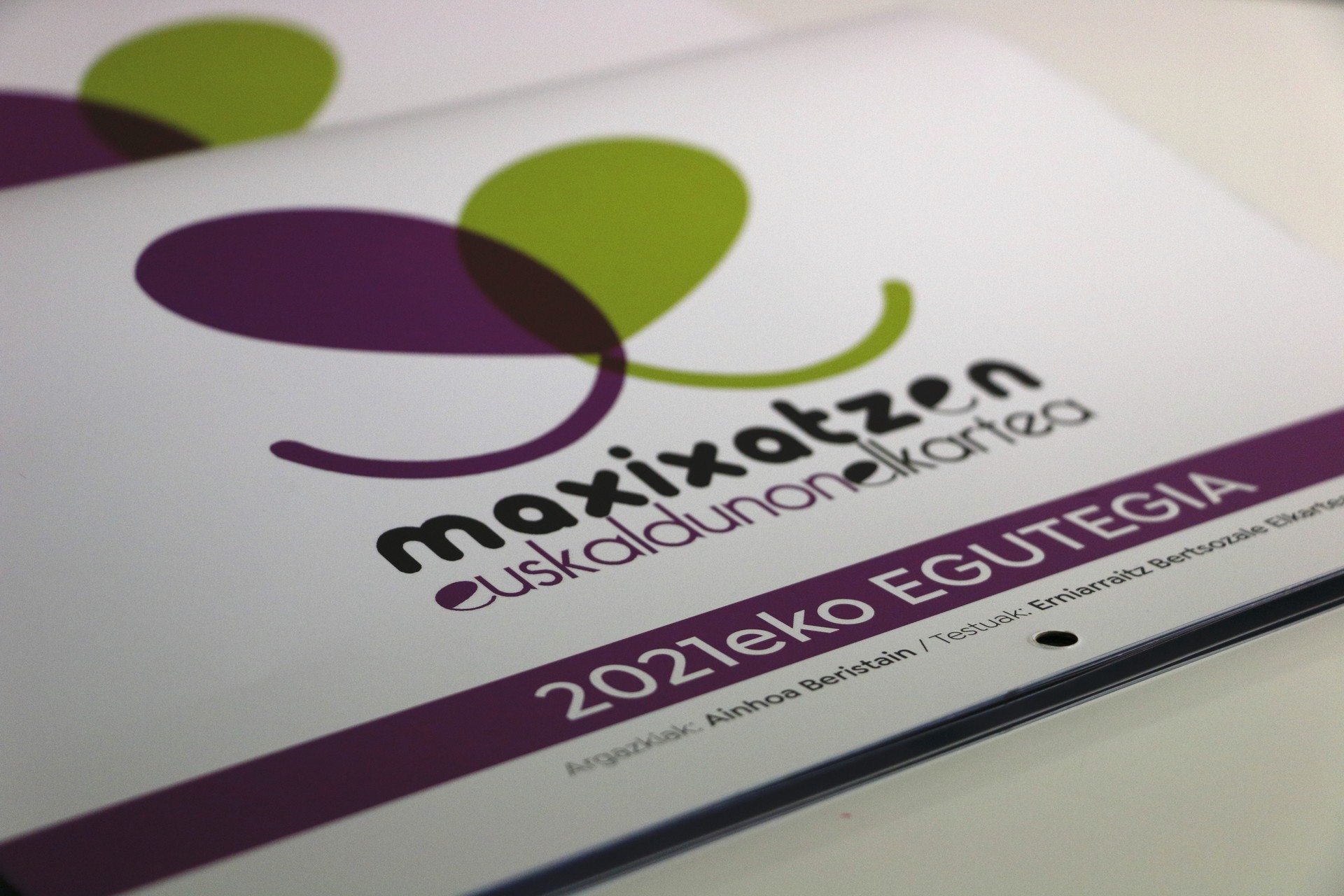 Maxixatzenen 2021eko egutegia, salgai