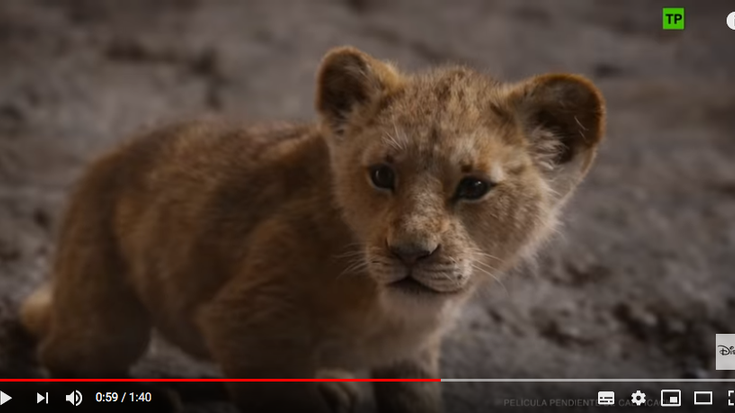 'El rey leon' eta 'El cuento de las comadrejas' filmak emango dituzte datozen egunetan Modelon