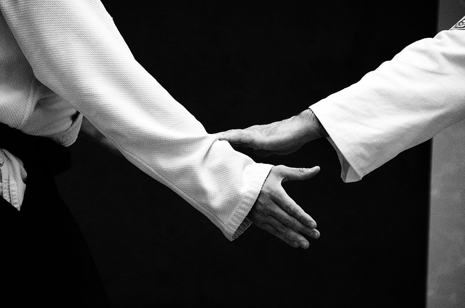 Nazioarteko bigarren aikido ikastaroa, bertan behera