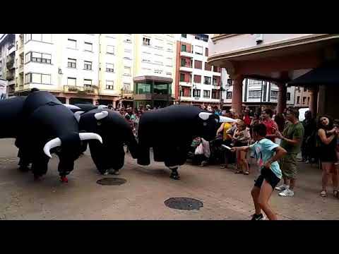 Zezen puzgarriekin entzierroa egin dute Zarautzen
