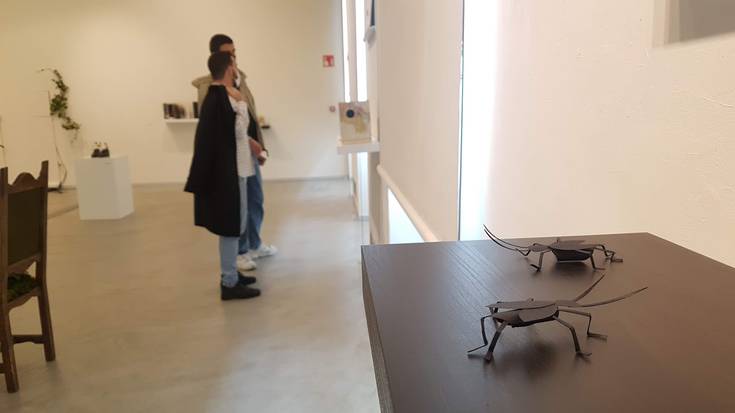 Azken egunak Aran Santamariaren erakusketa ikusteko