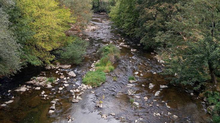 Ibaien konektibitatea hobetzeko, 228 oztopotan esku hartuko dute Gipuzkoako ibaietan