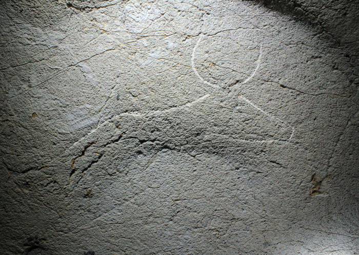 Labar Arte Paleolitoko grabatuak aurkitu dituzte Zestoako Erlaitz haitzuloan