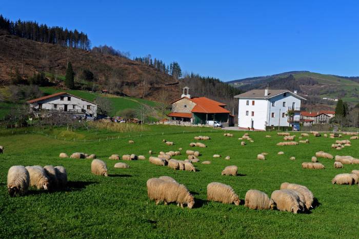 Elosiagako Santa Luzia ermitara eta Añotako sagastietara bisita gidatua egingo dute igandean