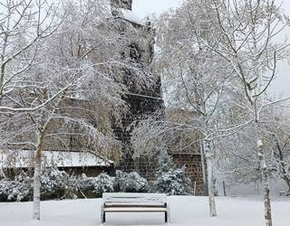 Urola Kosta barnealdea zuritu du elurrak