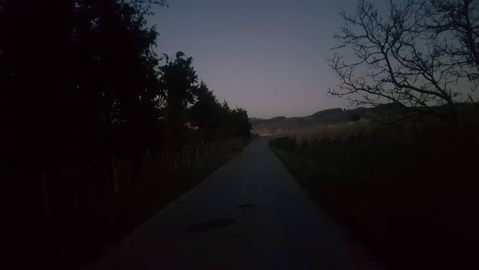 7.000tik gorako tasa du Zumaiak azken hiru egunetan 180 positibo detektatu ondoren