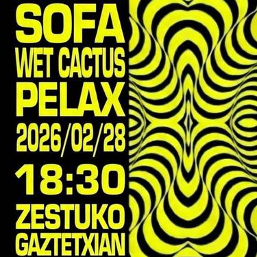 Kontzertuak: Rodeo, Sofa, Wet Cactus eta Pelax