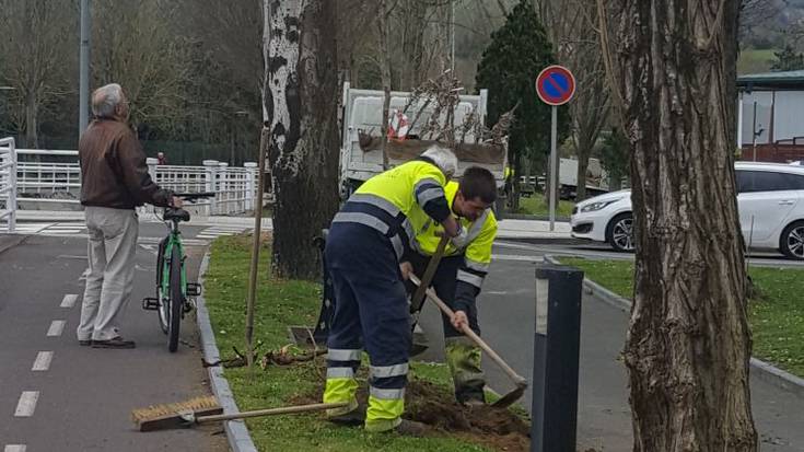 Zuhaitz berriak landatuko dituzte herri osoan zehar