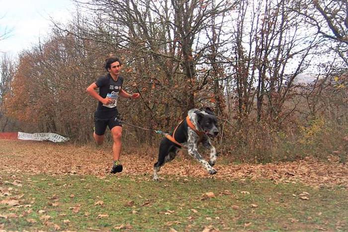 Zumaiarrek emaitza onak lortu dituzte Espainiako txakurkros txapelketan