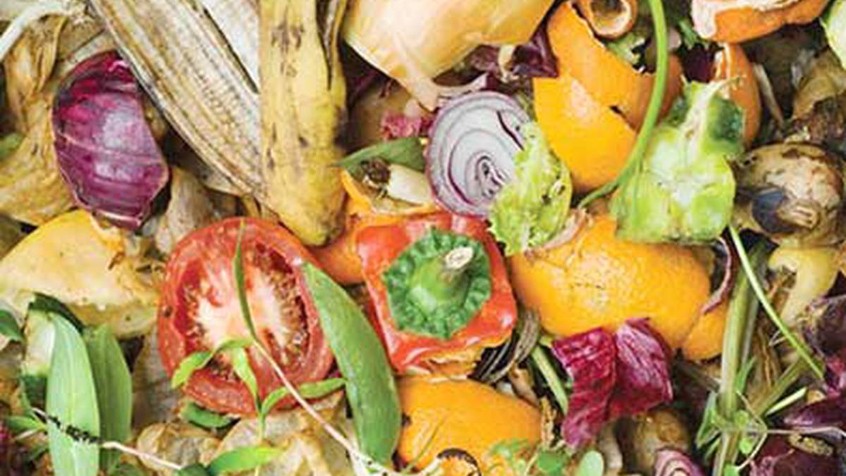 Karnabaletan aldaketak izango dira hondakin komertzialen bilketaren ordutegian