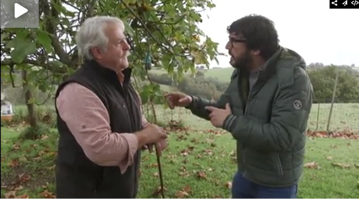 Hara! 'Herri Txiki Infernu Handi', Hazparnen