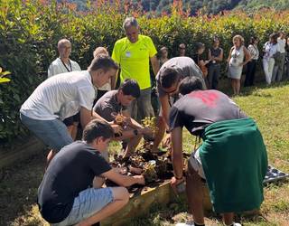 Lanbide heziketa egokituaren eredua aurkeztu dute EHUren Udako Ikastaroan