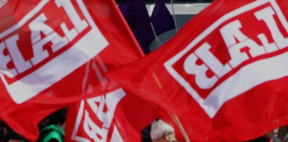 M1eko eskualde mailako bazkarirako txartelak, salgai