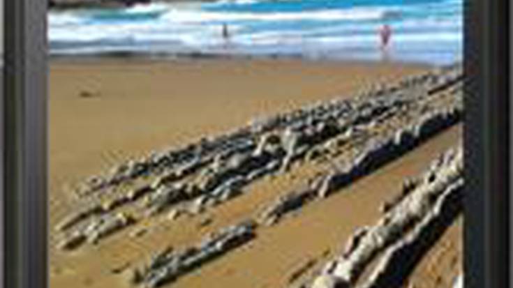 Zumaiako naturguneei buruzko mugikorretarako aplikazioa aurkeztu dute