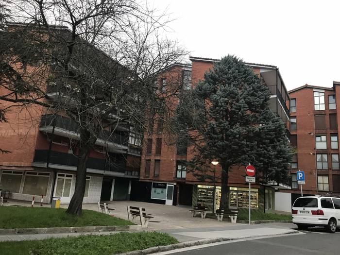 Hiru lagun atxilotu dituzte Azpeitian ile-apaindegi batean lapurreta egiteagatik