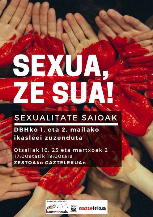 DBHko ikasleentzat sexualitate saioak izango dira Zestoako Gaztelekuan