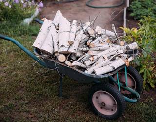 Zein da 'karriau' Azkoitiko hitzaren esanahia?