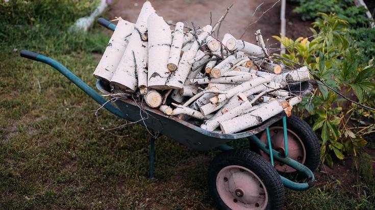 Zein da 'karriau' Azkoitiko hitzaren esanahia?