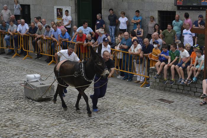 Argindeik irabazi du Errezilgo asto proba