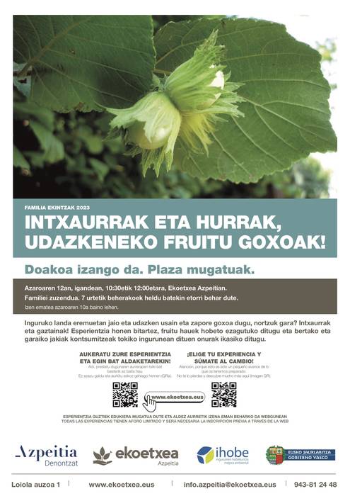 Familia ekintza: 'Intxaurrak eta hurrak, udazkeneko fruitu goxoak!'