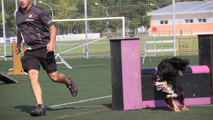 Irudietan: Agility probak jokatu dituzte Astin
