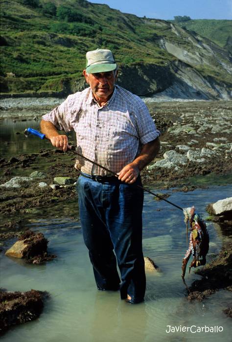 'Olarro zopa, Zumaiako ondarea'