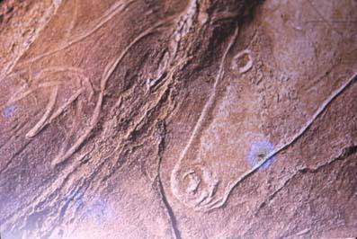 Altxerriri buruzko erakusketa ikusgai izango da urriaren 28ra arte