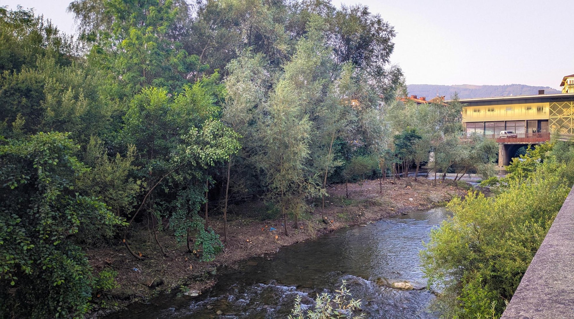 Luzatu egin dituzte Urola ibaiko landaredia arintzeko lanak