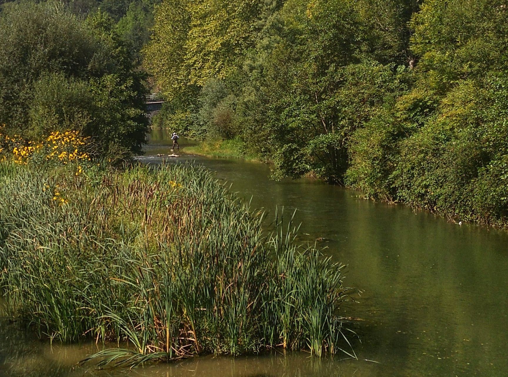 Natura "txukunduz" akabatu egin ohi dugu gehienetan...