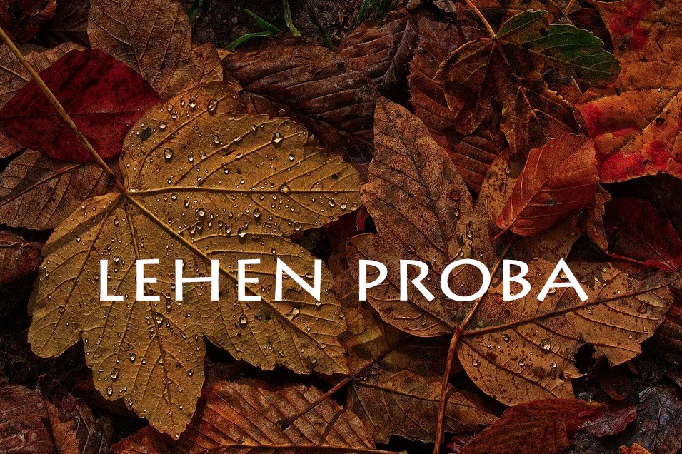 VIII. Orbel-jokuek: lehen asteko galderak, azaroak 10-16