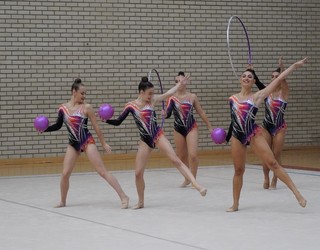 Gipuzkoako gimnastika erritmikoaren lehia izan da goizean Elkargunean
