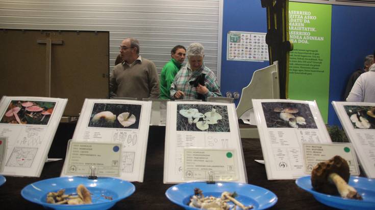 Natur Astea: Enarak proiektua Zarautzen