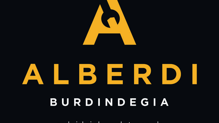 Alberdi burdindegia