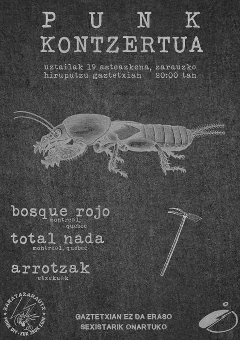 Bosque Rojo, Total Nada eta Arrotzak taldeen kontzertuak