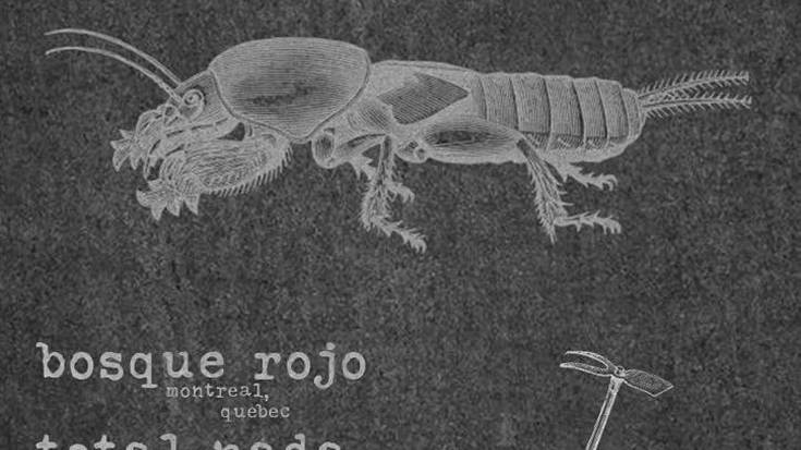 Bosque Rojo, Total Nada eta Arrotzak taldeen kontzertuak