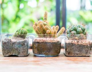 Gazteria sailak ekintza sorta antolatu du Aste Santuko oporraldirako