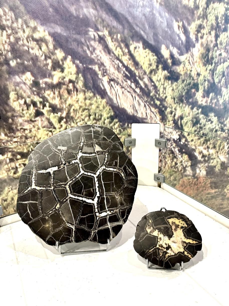 Ekintza ugari antolatu ditu Geoparkeak Mutrikun, Euskal Kostaldeko Museoen Hilabetearen barruan