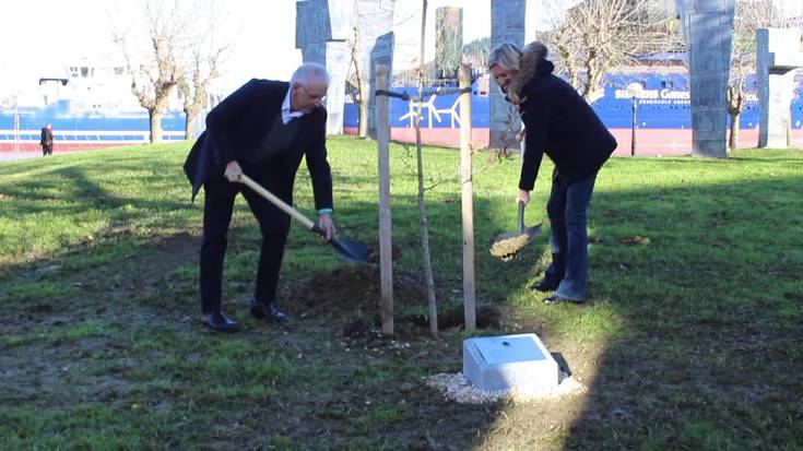 Gernikako Arbolaren sustraiak berriro iritsi dira Zumaiara