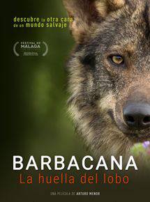'Barbacana: la huella del lobo'