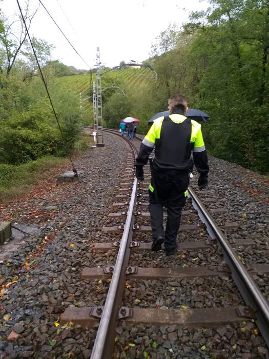 Zuhaitz bat erori da Oikia inguruan, eta itxita dago Zarautz eta Zumaia arteko trenbidea