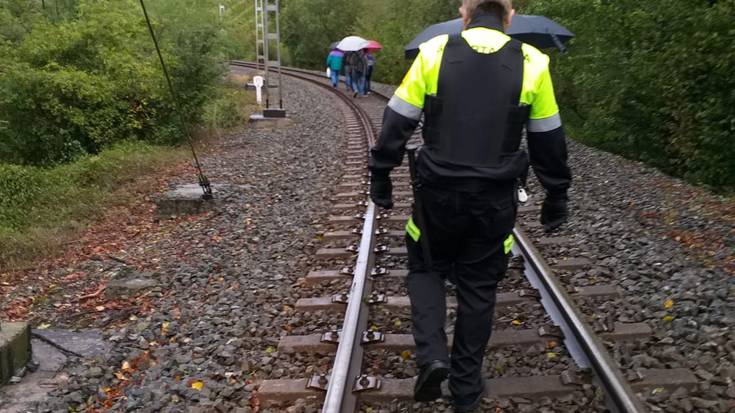 Zuhaitz bat erori da Oikia inguruan, eta itxita dago Zarautz eta Zumaia arteko trenbidea
