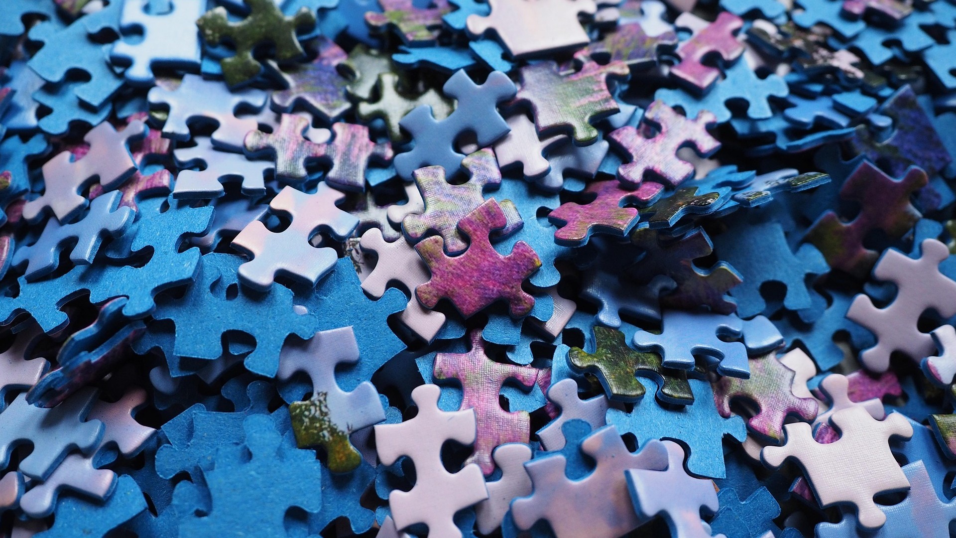 Puzzle zaleen topaleku bihurtuko da bihar Elkargunea