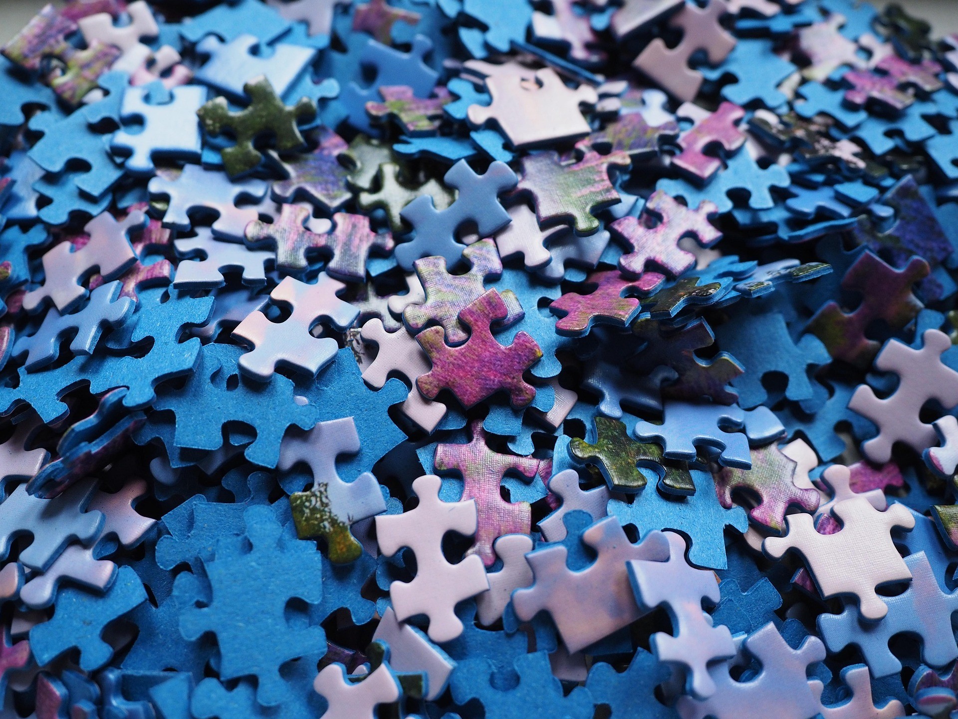 Puzzle zaleen topaleku bihurtuko da bihar Elkargunea