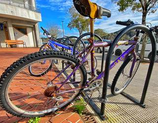 Udaltzaingoak kalean utzita dauden bizikleten jarraipena egingo du, 10 eguneko epean erretiratzeko
