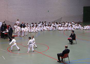 Eskualdeko Karate Txapelketa jokatuko dute larunbatean, Elkargunean