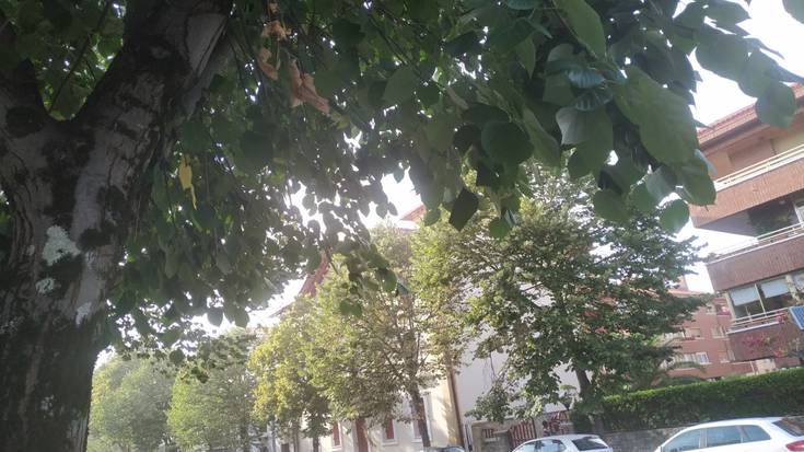 4.000 sinaduratik gora bildu dituzte Nafarroa kaleko ezkiak babesteko