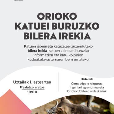 Bilera: Orioko katu koloniei buruzko bilera irekia